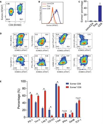 Eomes Impedes Durable Response to Tumor Immunotherapy by Inhibiting Stemness, Tissue Residency, and Promoting the Dysfunctional State of Intratumoral CD8+ T Cells